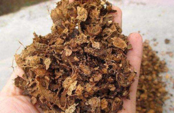 8種生活&OpenCurlyDoubleQuote;垃圾&rdquo;不要扔，養花稱得上&OpenCurlyDoubleQuote;好材料&rdquo;，既省錢又不傷花