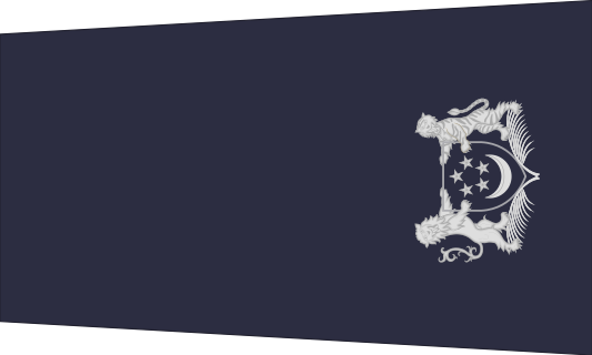 新加坡警銜標識