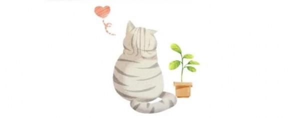 水滸中的五虎戰將和三國中的五虎上將誰更厲害？