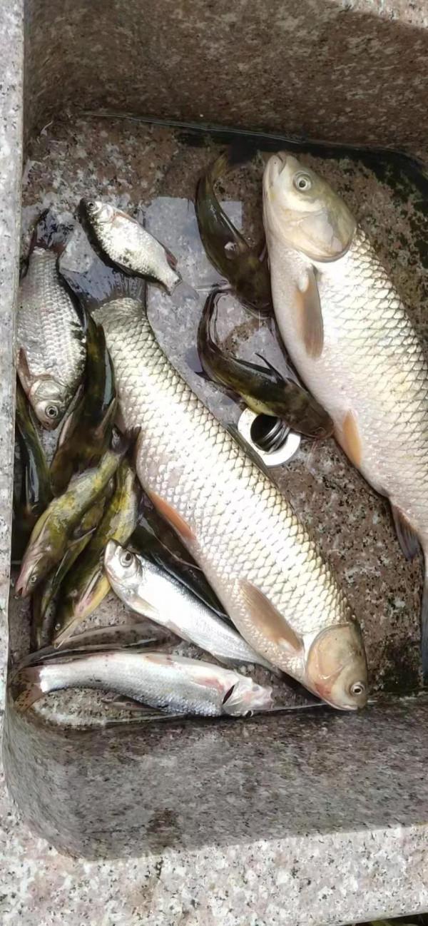 老釣魚人提醒秋冬季釣魚上魚有“窗囗期”,抓住時機上魚不難 老釣魚人提醒秋冬季釣魚上魚有“窗囗期”,抓住時機上魚不難