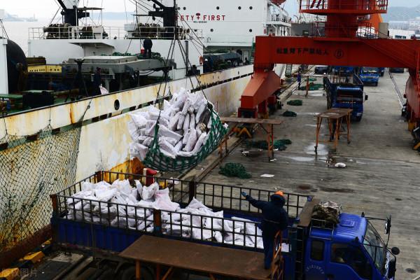 1989年起步，中國遠洋魷釣歷經30年風雨，可前路卻愈發艱難？