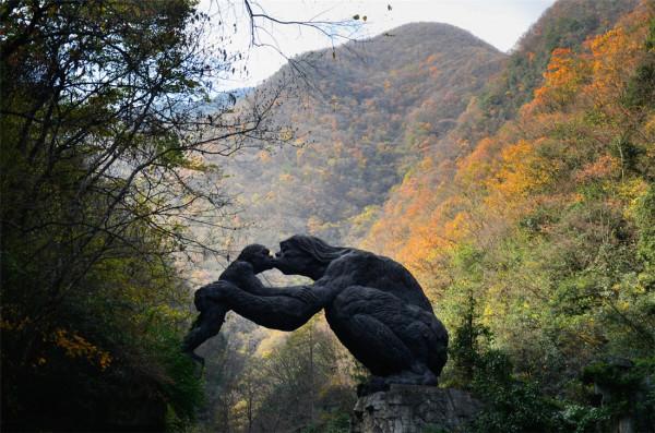 神農架相傳出現驢頭狼,吃農戶養的豬,揭秘:疑是“四不像”鬣羚 神農架相傳出現驢頭狼,吃農戶養的豬,揭秘:疑是“四不像”鬣羚