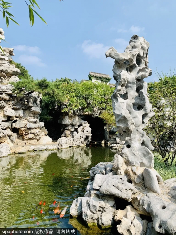 冬天不想宅在家?北京這些地方,依然綠意蔥蘢! 冬天不想宅在家?北京這些地方,依然綠意蔥蘢!