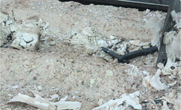 人類的骨灰究竟是什麼？骨灰在多年以後會消失嗎？