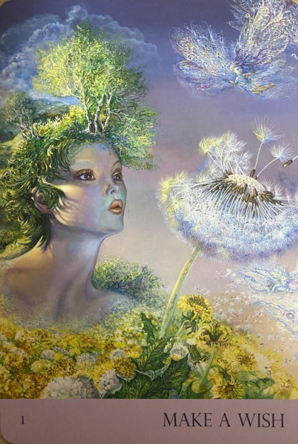 日運:1.8心靈運勢指引 日運:1.8心靈運勢指引