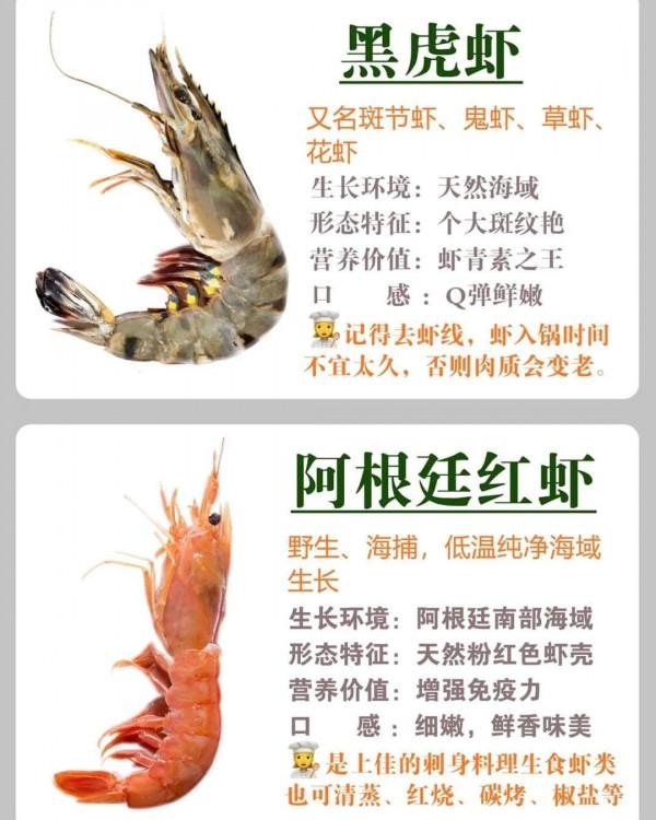 這些常見的蝦