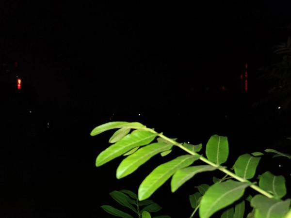 誰說近處無風景?大美清泉河給你一份不同的畫卷 誰說近處無風景?大美清泉河給你一份不同的畫卷