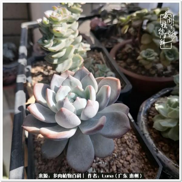 學會和解:與自己、與他人、與世界 學會和解:與自己、與他人、與世界