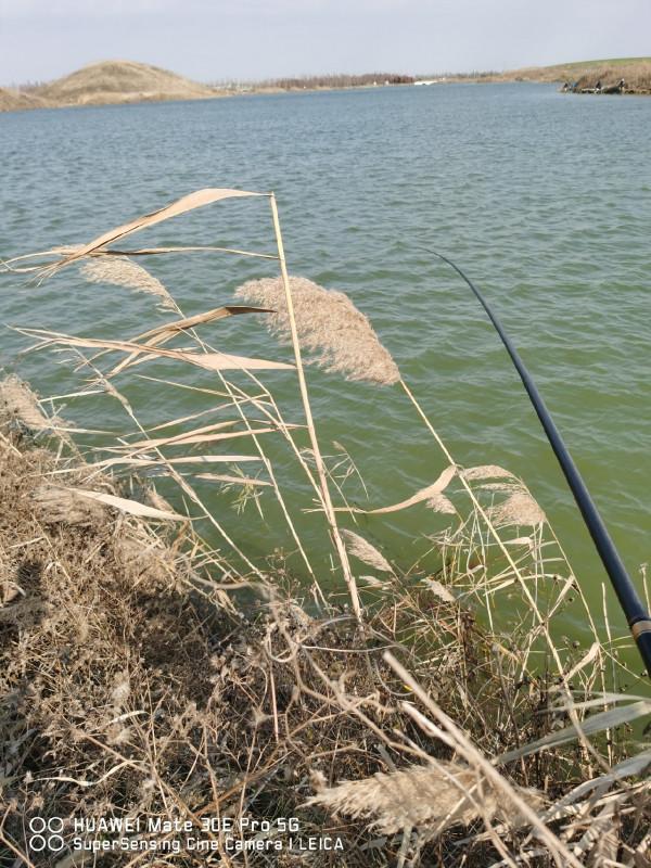 回顧近期垂釣經歷,總結經驗以利再戰 回顧近期垂釣經歷,總結經驗以利再戰