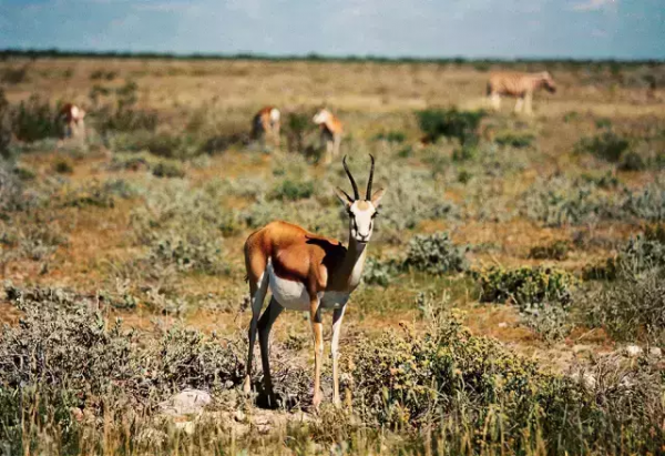 世界上顏值最高的20個國家，猜猜中國排第幾？