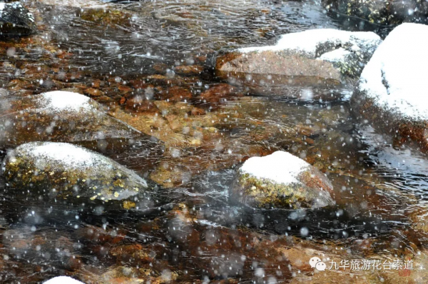 想和你分享，九華山花臺的初雪