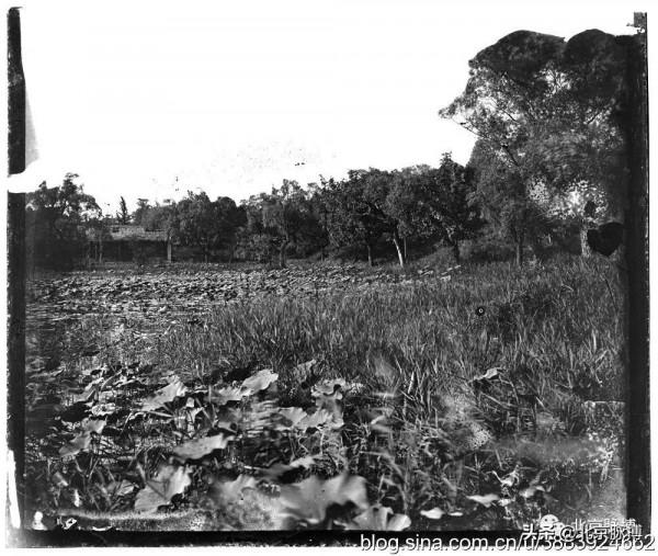 畫說北京丨晚清圓明園老底片