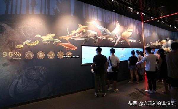 你吃過魚,但你見過“魚龍”嗎?就在我國貴州曾經就是魚龍的天堂 你吃過魚,但你見過“魚龍”嗎?就在我國貴州曾經就是魚龍的天堂