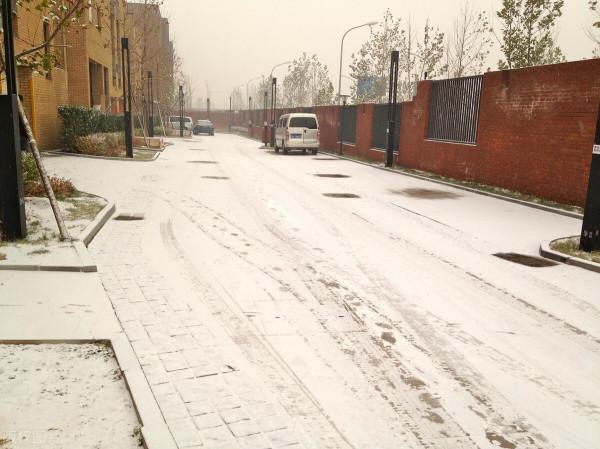 2021年入冬第一場雪,瑞雪兆豐年 2021年入冬第一場雪,瑞雪兆豐年