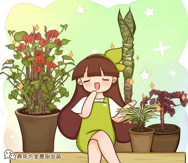 8種花，插土裡就能活，簡直是懶人“福音”