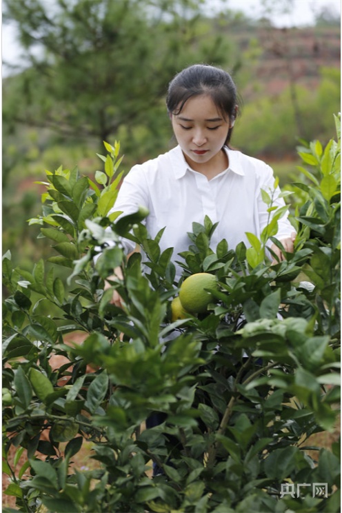 長征路上新青年丨創業英雄“瑤姑娘”:廣闊農村大有可為 做新時代“三農”青年 長征路上新青年丨創業英雄“瑤姑娘”:廣闊農村大有可為 做新時代“三農”青年