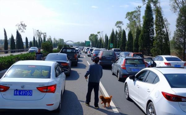 高速將再次免費？“錯峰免費”建議被提出，車主這回樂了