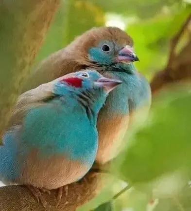 點亮愛的翅膀，帶著你一路飛翔，旅途有你，便是天堂