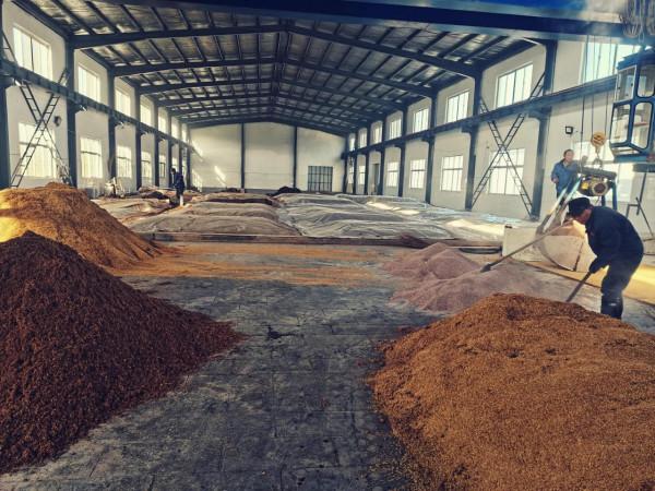 孫氏老窖池酒窖泥是杜康酒生產形成子發展的歷史見證