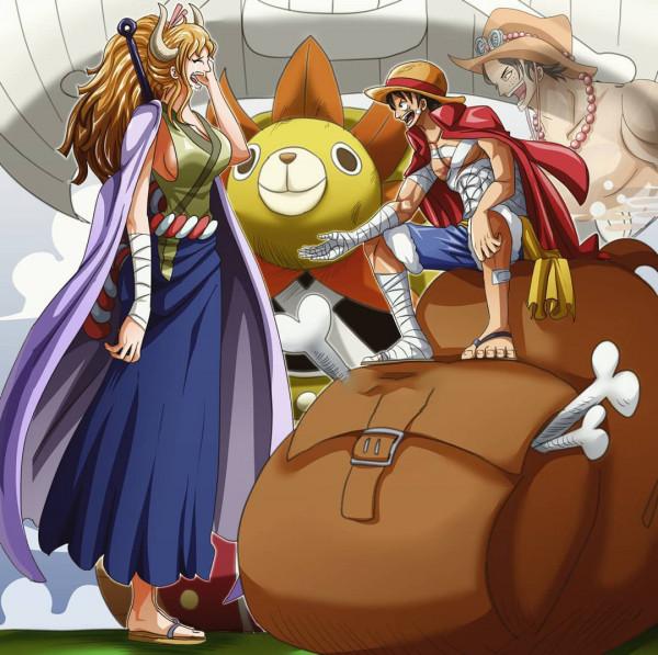 海賊王:加洛特和大和,她們誰能加入草帽團呢? 海賊王:加洛特和大和,她們誰能加入草帽團呢?