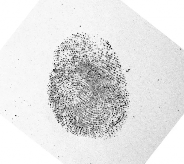 提取指紋並不難：新安全實驗表明只需少量成本就能解鎖你的手機