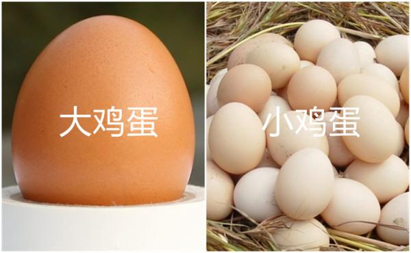 買雞蛋,挑“紅殼”還是“白殼”?弄懂再買,便宜也能買到好雞蛋 買雞蛋,挑“紅殼”還是“白殼”?弄懂再買,便宜也能買到好雞蛋