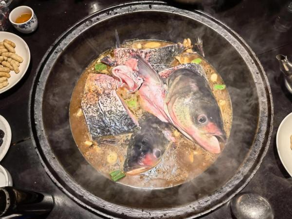 密雲水庫吃水庫魚