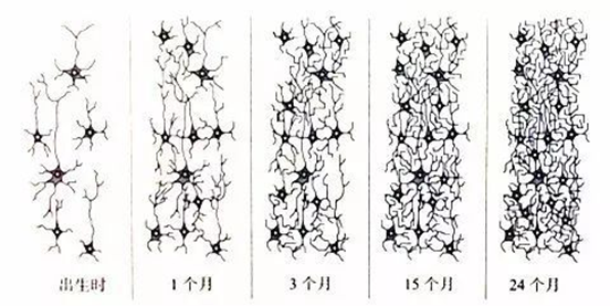 人工智慧時代，神經網路的原理及使用方法 | 微課堂