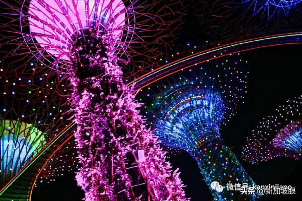 教你如何10元玩轉新加坡