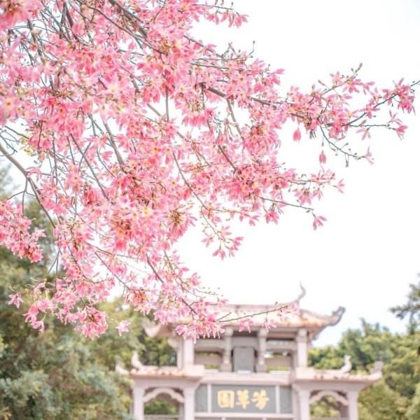 福建有你期待的“秋日物語”！快帶上相機出發吧~