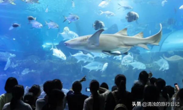 湖南最受歡迎的十大景點，沒去過這些地方，別說你是湖南人