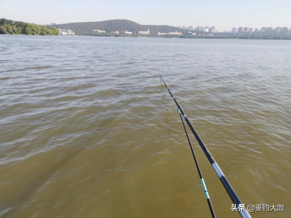 魚竿越長釣獲越多？10米長竿用一次就要扔，釣友：這根本不是釣魚