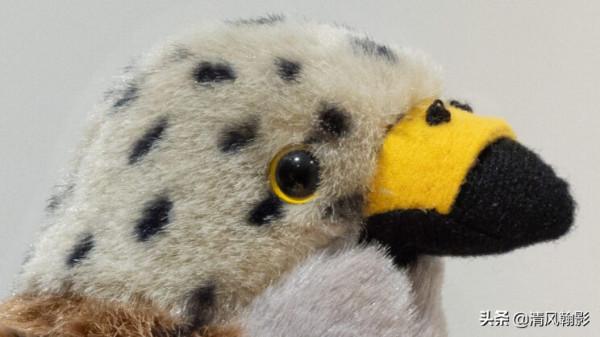 佳能微單800和600長焦鏡頭怎麼樣?不算權威的評測瞭解下 佳能微單800和600長焦鏡頭怎麼樣?不算權威的評測瞭解下