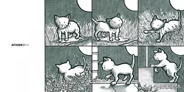 貓咪主題繪本推薦｜和孩子一同開啟喵星人的世界