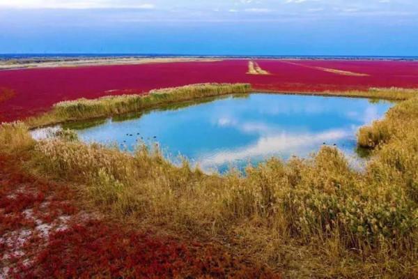 江蘇文旅頭條 &vert; 享受冰雪世界樂趣，這20條主題遊線路不容錯過