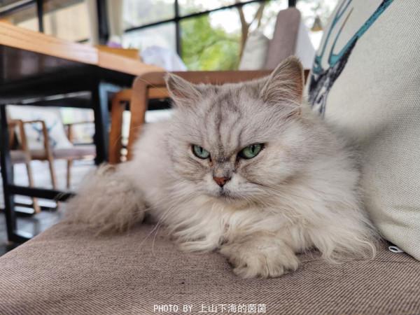 走進莫干山治癒系民宿,在禪意滿滿天真樂元靜心酒店遇見最真自己 走進莫干山治癒系民宿,在禪意滿滿天真樂元靜心酒店遇見最真自己