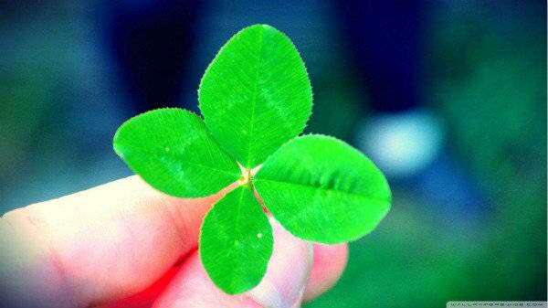 生活中的每一種“遇見”,似乎皆有因果 生活中的每一種“遇見”,似乎皆有因果