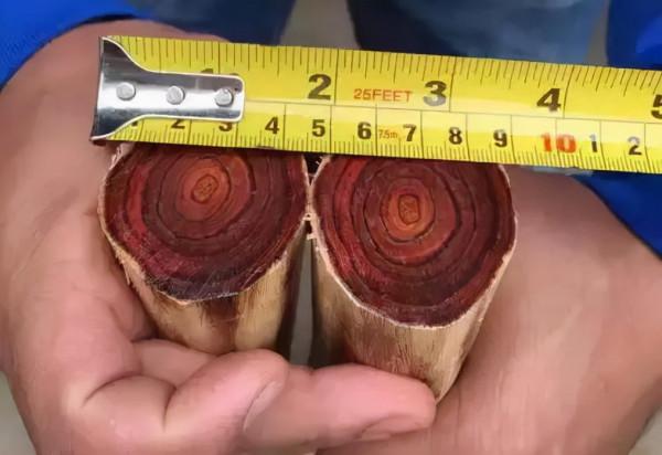 沃格利國標紅木大宅地暖地板紅木百科全書（七）