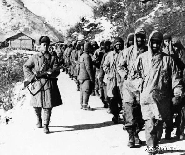 豫西、鄂北會戰 豫西、鄂北會戰