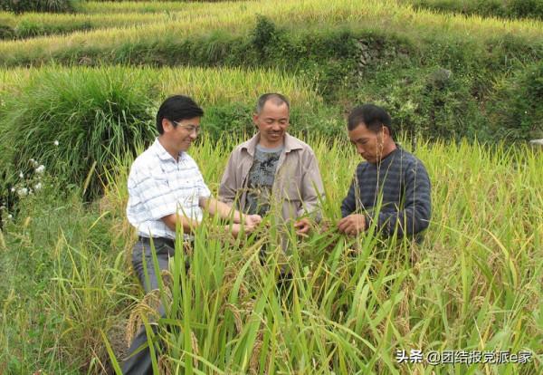 民革黨員被聯合國糧農組織評為“糧食英雄”