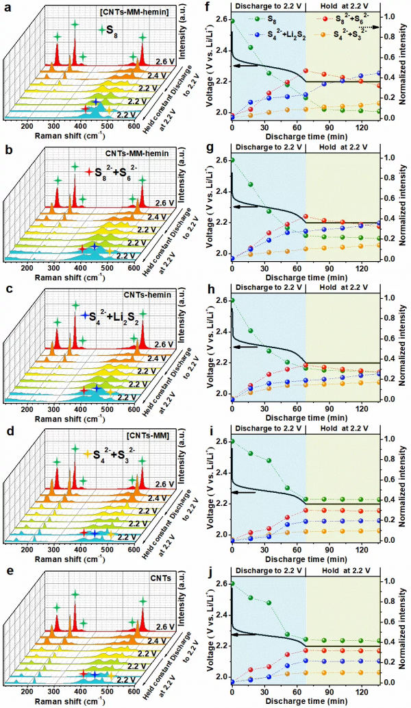 輔因子結合多重鋰鍵網路，助力人工酶加速催化硫轉化反應