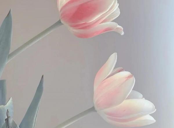 《道德經》高人，反其道而行之，無知，無慾，無求，故，有所成