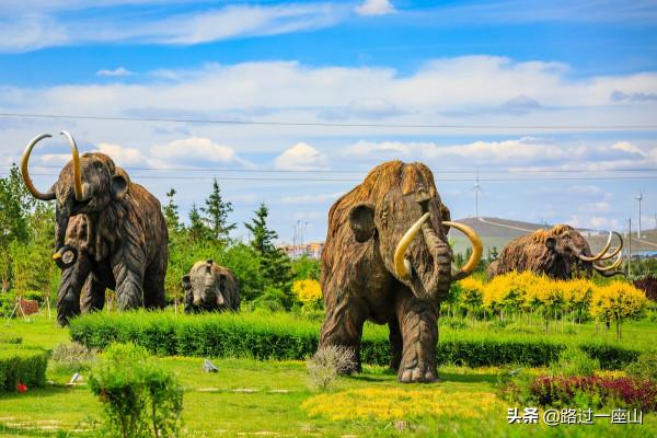 一樣的15歲，不一樣的人生路