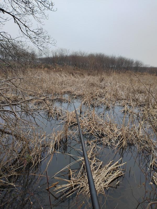這就是菜地的魅力，夠野、夠暴力