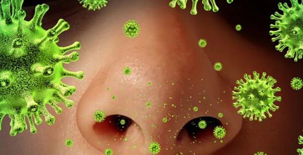 柳葉刀:高福院士發表新冠病毒溯源最新觀點 柳葉刀:高福院士發表新冠病毒溯源最新觀點