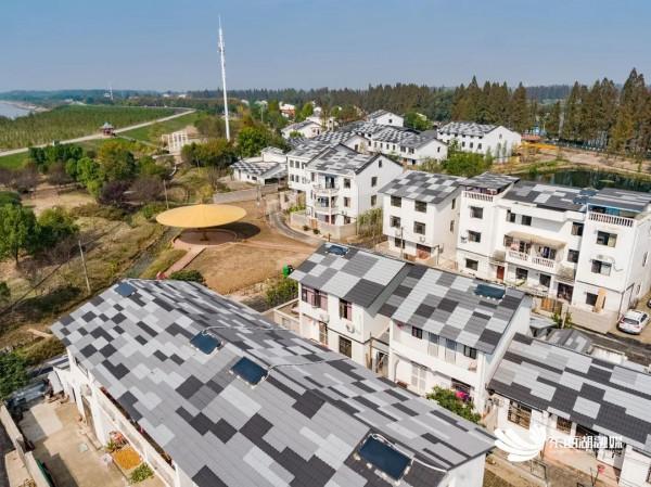 在家門口抓住秋天的“小尾巴”~