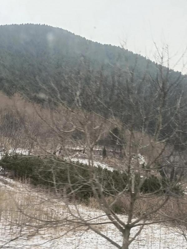 2022年第一站，秦嶺風景