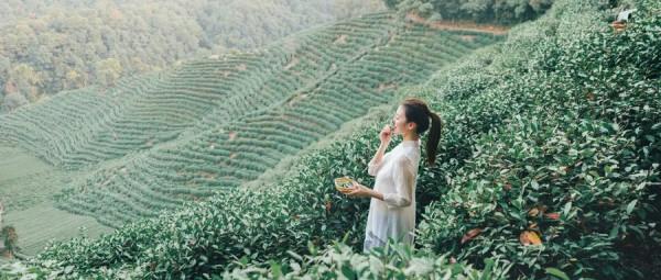 知足、知止、知趣