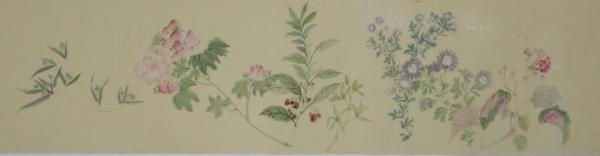 蘇珊 •《百花圖卷》 蘇珊 •《百花圖卷》