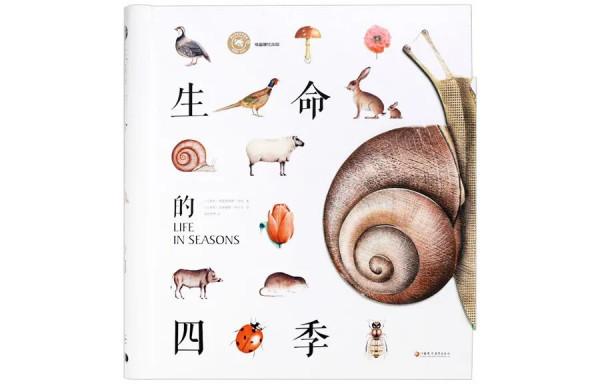 超級全面 建議收藏 12套中國風繪本盤點